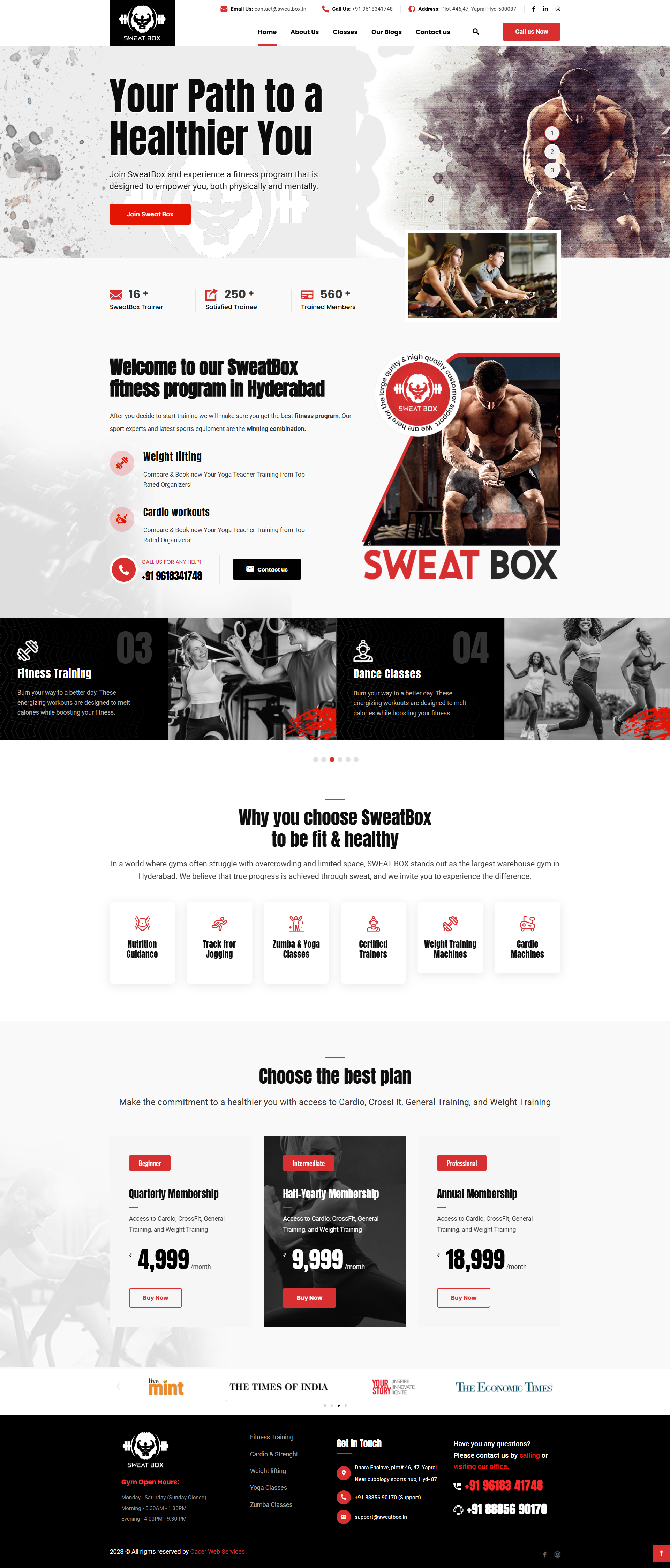 Website Preview