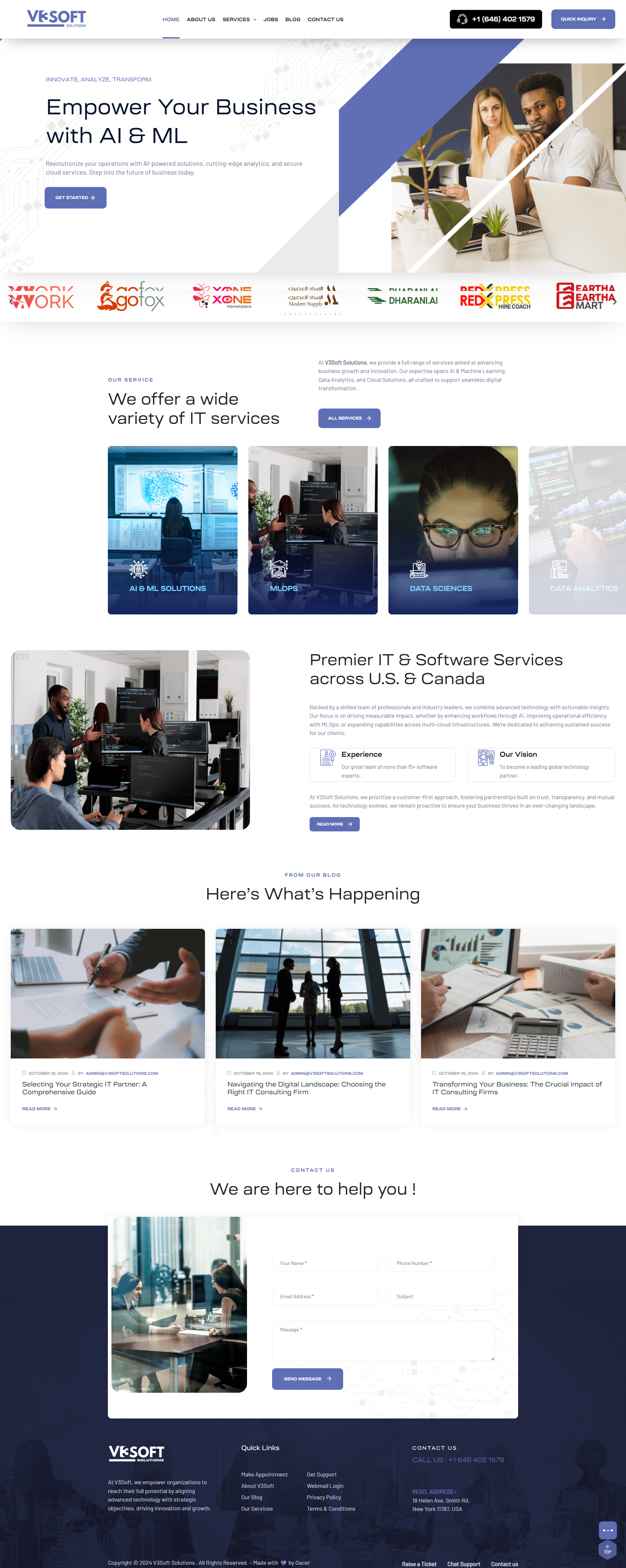 Website Preview